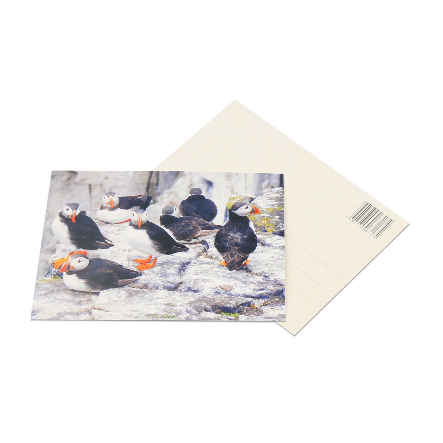 custom-flyer-postcard product image 6