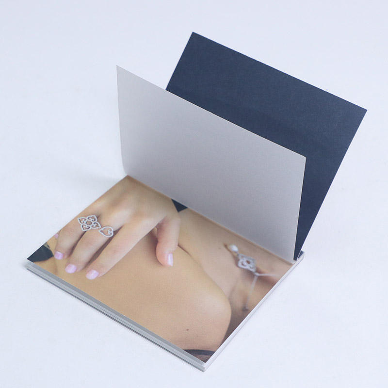 custom-french-fold-brochure product image 1