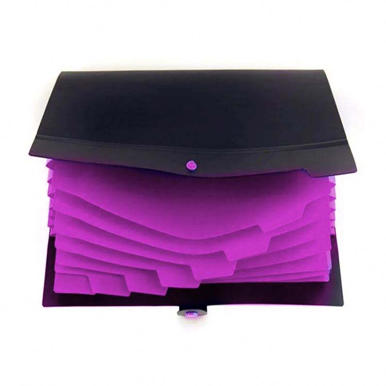 custom-plastic-folder product image 1