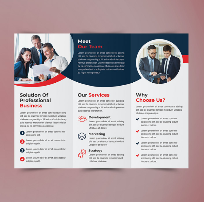 custom-4-panel-brochure product image 1