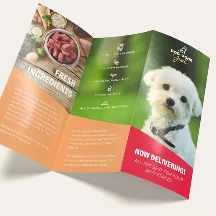 custom-bi-fold-brochure product image 2