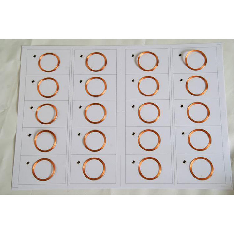 custom-data-sheet product image 3