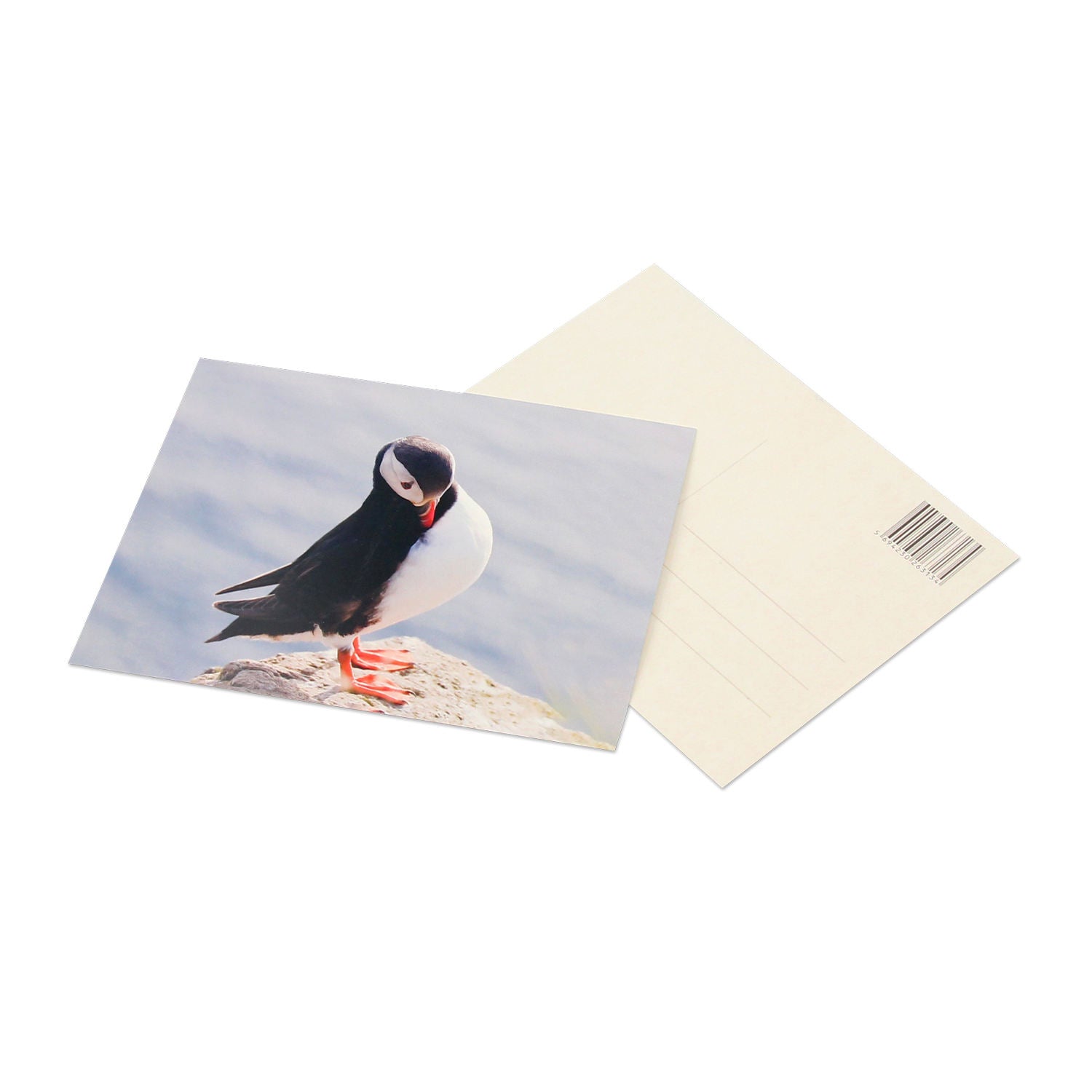 custom-flyer-postcard product image 5