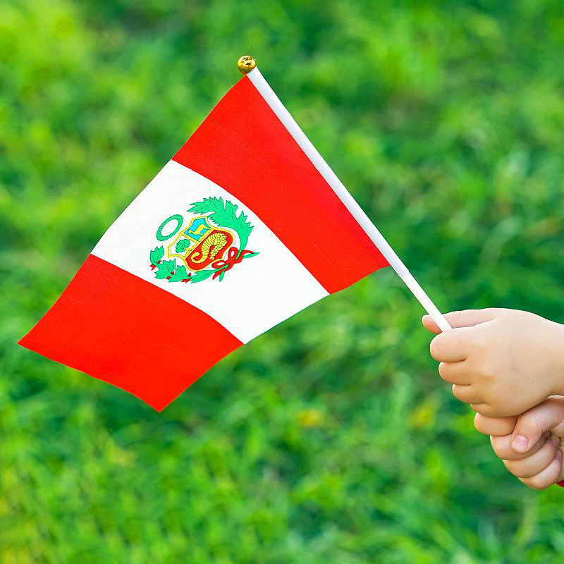 custom-rectangular-flag product image 6