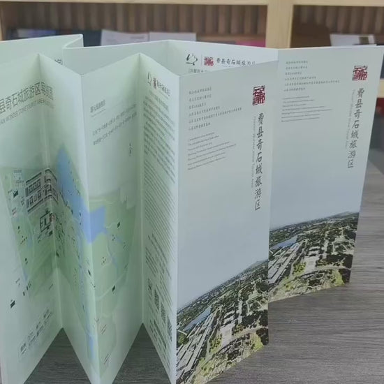 custom-4-panel-brochure product video