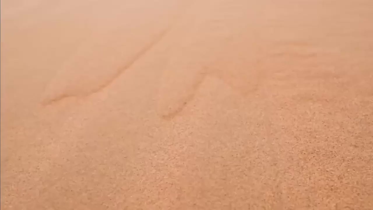custom-cycling-shoe-covers product video